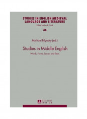Studies In Middle English: Words, Forms, Senses And Texts Hardcover English - 09 Jul 2014