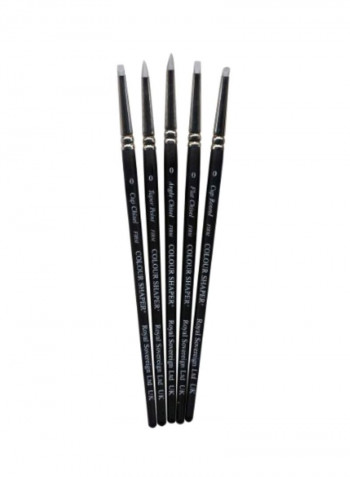 5-Piece Colour Shaper Clay Painting Set Black/Silver