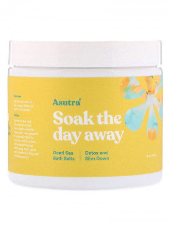 Soak The Day Away Bath Salt 16ounce