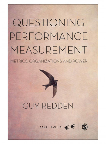 Questioning Performance Measurement Hardcover 1st Edition
