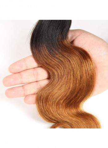 Straight Brazilian Virgin Human Hair Extension Multicolour 22inch