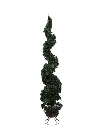 English Ivy Tree With Stand Green/Black