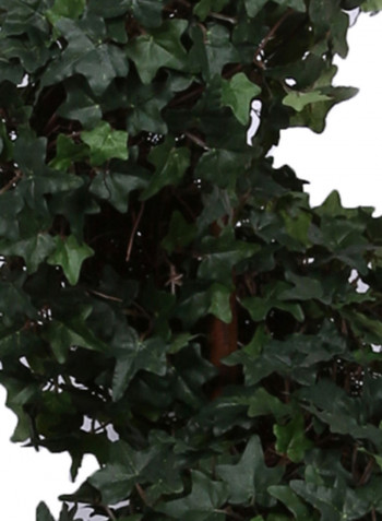 English Ivy Tree With Stand Green/Black