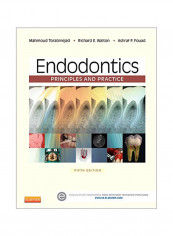 Endodontics: Principles And Practice Hardcover 5