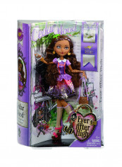 Cedar Wood Fashion Doll reviews Cedar Wood Fashion Doll