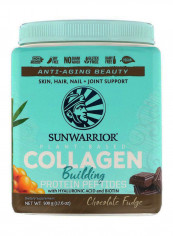 Collagen Building Peptides Chocolate Fudge Protein