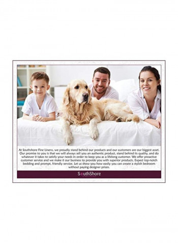 Vilno Springs Comforter Slate Queen