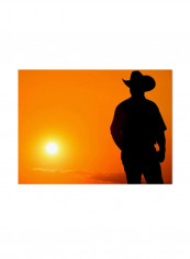 Montana Three Horse Canvas Wall Art Black/Orange 18 x 24inch