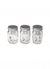 3-Piece Mini Mason Jars Clear/Silver 4x2.25inch