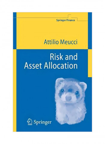 Risk And Asset Allocation Paperback