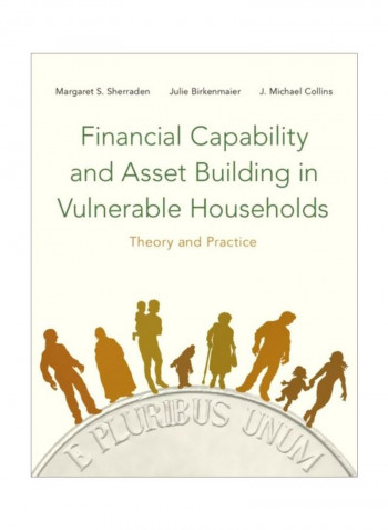 Financial Capability And Asset Building In Vulnerable Households: Theory And Practice Paperback