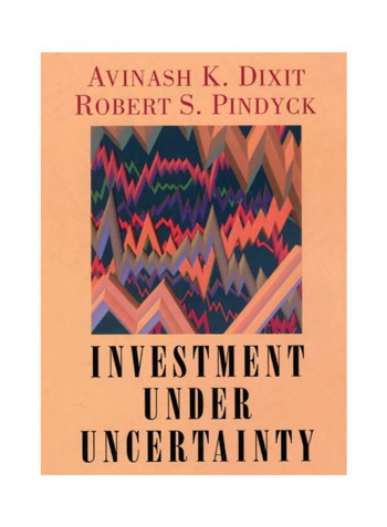 Investment Under Uncertainty Hardcover