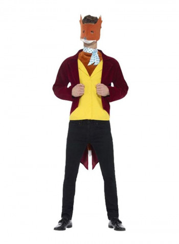 Roald Dahl Fantastic Mr Fox Costume M