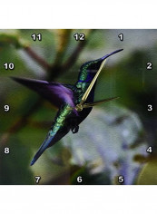Hummingbird Wall Clock Multicolour 13x13inch reviews Hummingbird Wall Clock Multicolour 13x13inch