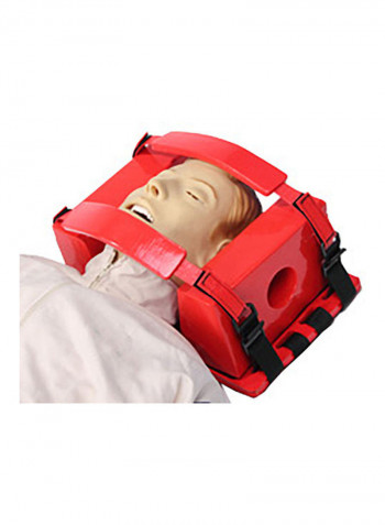 Head Immobilizer
