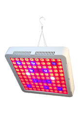 Indoor Plant LED Growing Light Multicolour 38 x 6.5centimeter