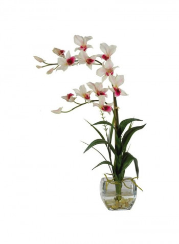 Dendrobium With Glass Vase Silk Flower multicolour