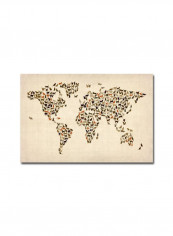 World Map Of Cats Canvas Wall Art Multicolour 16 x 24inch
