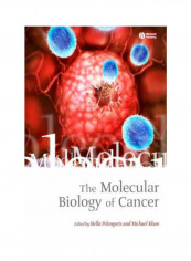 The Molecular Biology of Cancer Paperback English by Stella Pelengaris