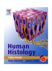 Human Histology Paperback English by Alan Stevens