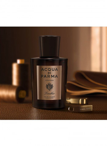 Colonia Ambra EDC Concentree 100ml