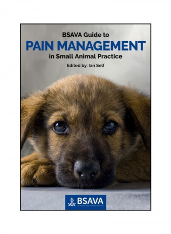 BSAVA Guide To Pain Management In Small Animal Practice Paperback