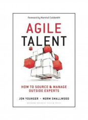 Agile Talent : How To Source And Manage Outside Experts Hardcover