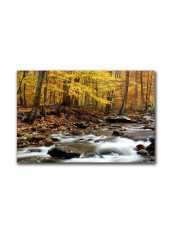 Autumn Fire Ii Canvas Wall Art Multicolour 16 x 24inch