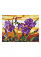 Iris Sunset Diamond Embroidery Facet Art Kit Multicolour