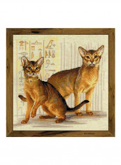 Abyssinian Cats Counted Cross Stitch Kit Brown/Beige/Black