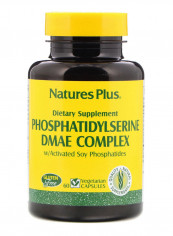 Phosphatidylserine DMAE Complex Energy Supplement - 60 Capsules