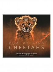 Remembering Cheetahs Hardcover