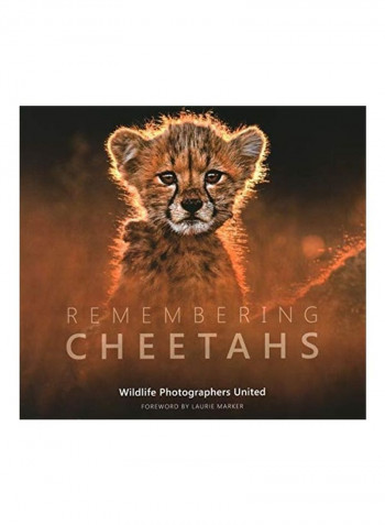 Remembering Cheetahs Hardcover reviews Remembering Cheetahs Hardcover