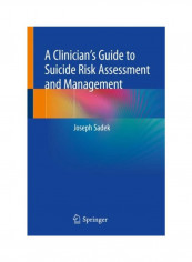 A Clinician's Guide To Suicide Risk Assessment And Management Paperback