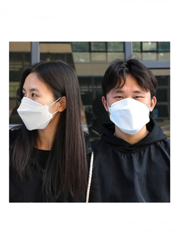 KN 95 Protective Mask