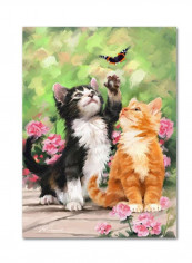 Kittens II Canvas Wall Art Multicolour 14 x 19inch