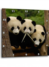 Giant Panda Bears Printed Wall Clock Multicolour 10x10x0.1inch