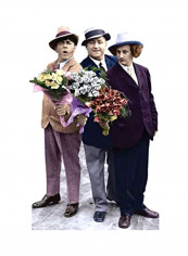 The Three Stooges Themed Cutout Stand Flowers 46x70inch
