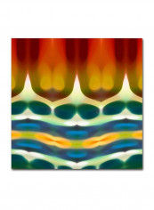 Fury Pattern Canvas Wall Art Multicolour 18 x 18inch