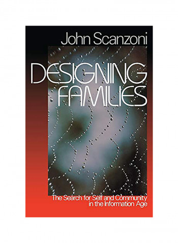 Designing Families : The Search For Self And Community In The Information Age Paperback