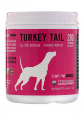 Immune Support Turkey Tail 200غم تقييمات Immune Support Turkey Tail 200غم