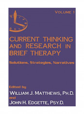 Current Thinking And Research In Brief Therapy Paperback