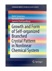 Growth and Form of Self-organized Branched Crystal Pattern in Nonlinear Chemical System Paperback