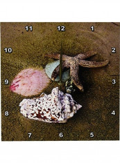 Star Fish N Sea Shells Printed Analog Wall Clock Multicolour 13x13x0.1inch