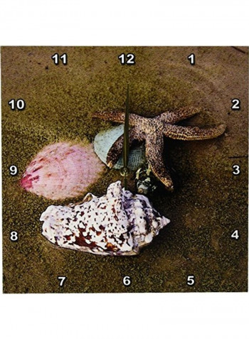 Star Fish N Sea Shells Printed Analog Wall Clock Multicolour 13x13x0.1inch