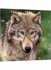 DPP 92147 2 North America USA Montana Wolf Wall Clock Multicolour 13x13inch