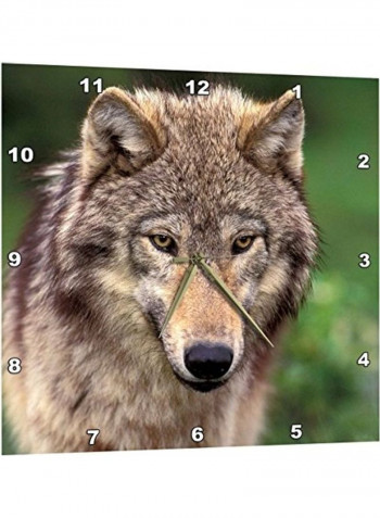 DPP 92147 2 North America USA Montana Wolf Wall Clock Multicolour 13x13inch