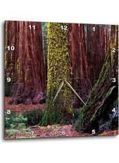 Giant Sequoia Trees Wall Clock Multicolour 13x13inch