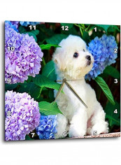 Puppy Printed Wall Clock Multicolour 15x15inch