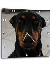 Doberman Themed Wall Clock Multicolour reviews Doberman Themed Wall Clock Multicolour